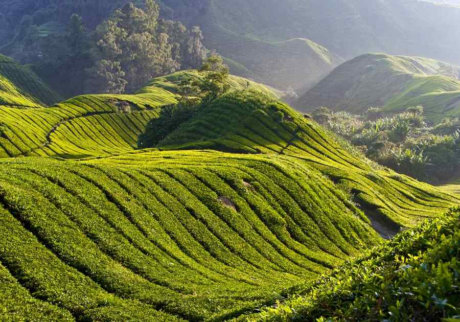 Essential Singapore & Malaysia